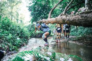 BIB: 
                            <button type="button" onclick="openModal(25443681)" class="btn btn-primary btn-sm float-right btn-popup" data-toggle="modal" data-target=".modal-high-quality">
                        <i class="fas fa-shopping-cart"></i> Add to Cart
                    </button>
                                            <button type="button" onclick="isThisMe(25443681, true)" class="btn btn-success btn-sm float-right btn-popup btn-isme hidden" data-toggle="tooltip" data-placement="bottom" title="นี่คือรูปของคุณใช่ไหม คลิกที่นี่เพื่อเอาเข้าอัลบั้ม">
                        <i class="fas fa-plus"></i> Add to album
                    </button>
                    <button type="button" onclick="isThisMe(25443681, false)" class="btn btn-warning btn-sm float-right btn-popup btn-isnotme hidden">
                        <i class="fas fa-ban"></i> Remove from album
                    </button>